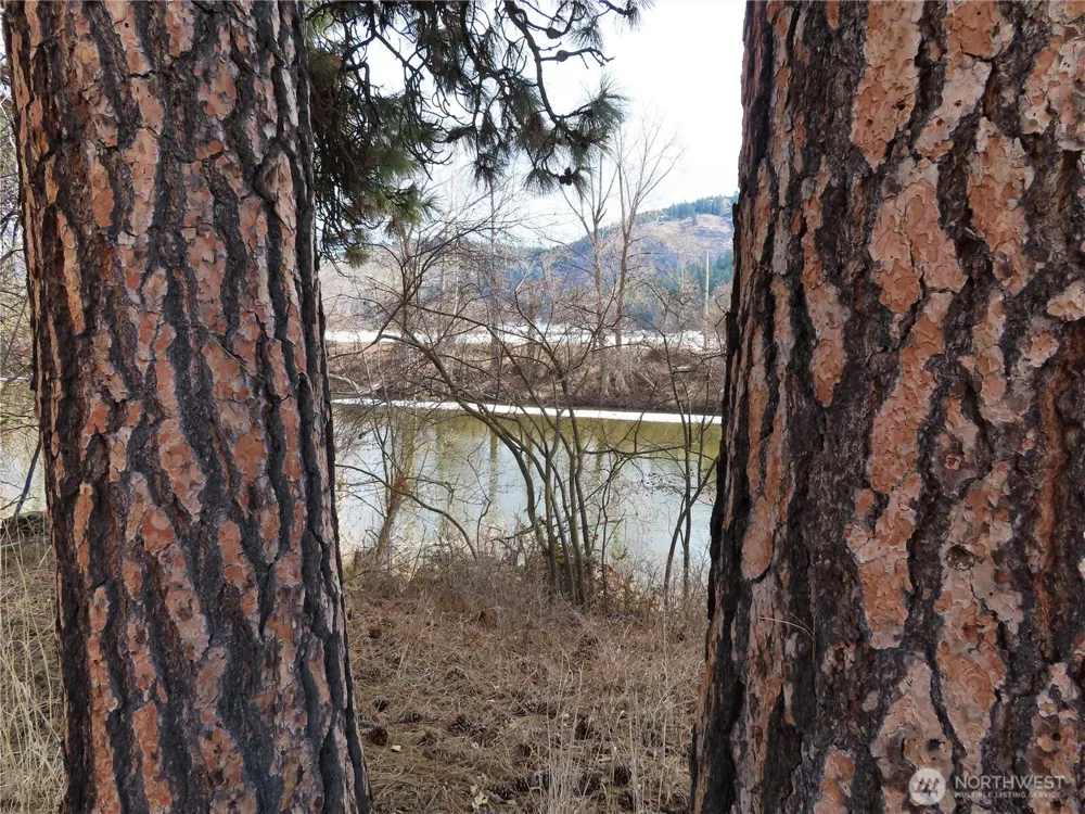 0 Lot 8 Highway 21 Danville, WA 99121