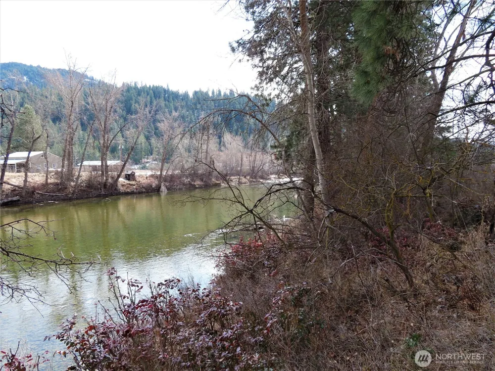 0 Lot 8 Highway 21 Danville, WA 99121