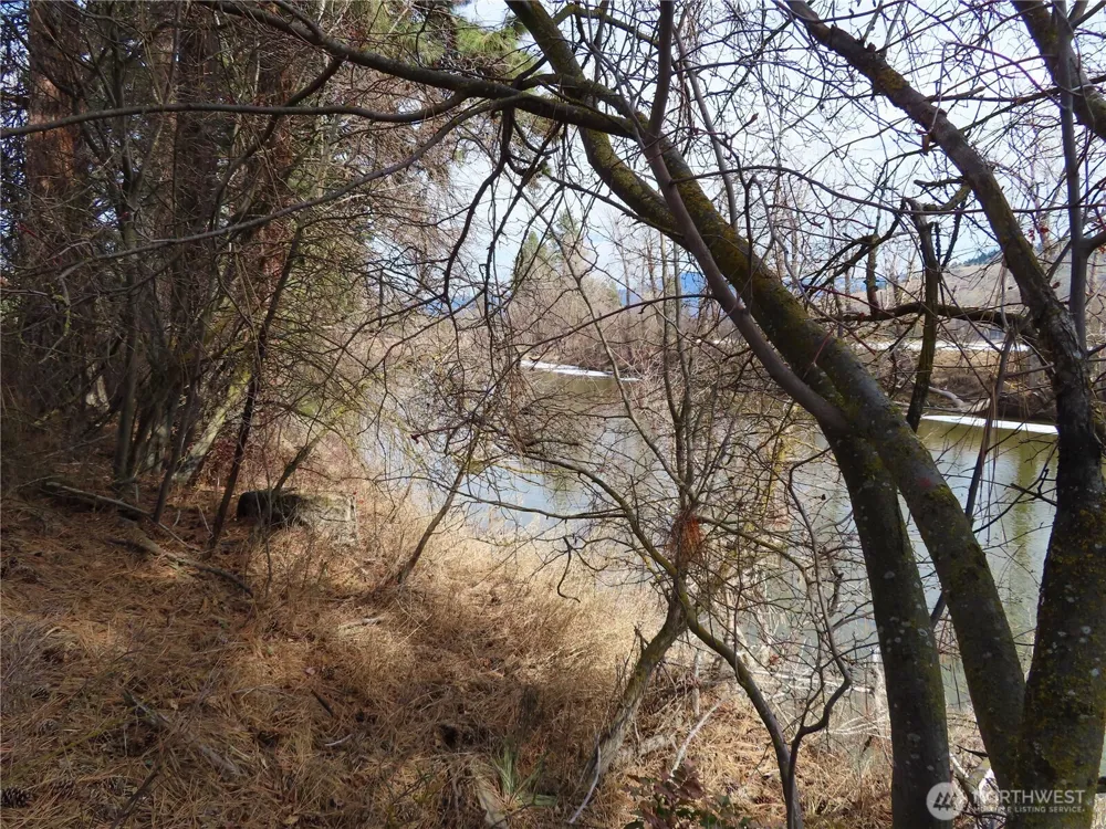 0 Lot 8 Highway 21 Danville, WA 99121