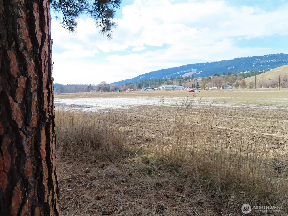 0 Lot 8 Highway 21 Danville, WA 99121