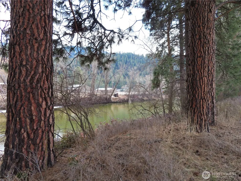 0 Lot 8 Highway 21 Danville, WA 99121