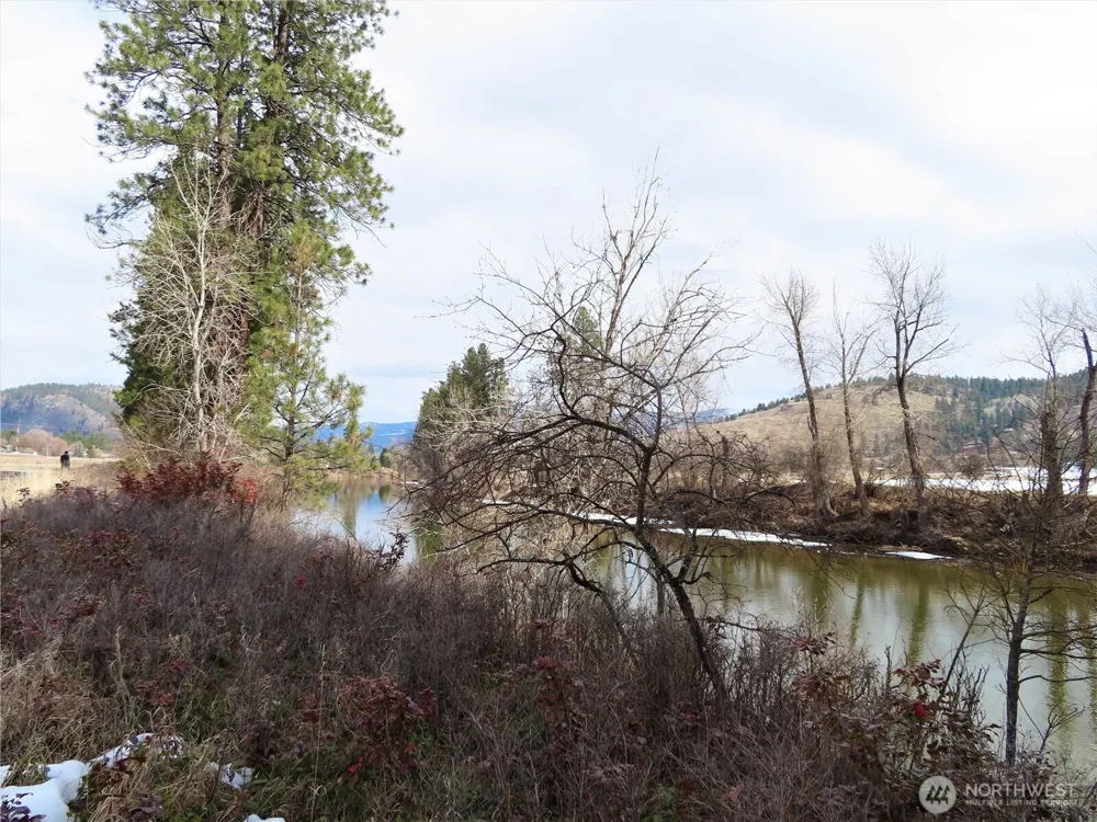 0 Lot 8 Highway 21 Danville, WA 99121