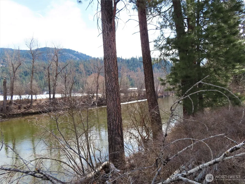 0 Lot 8 Highway 21 Danville, WA 99121