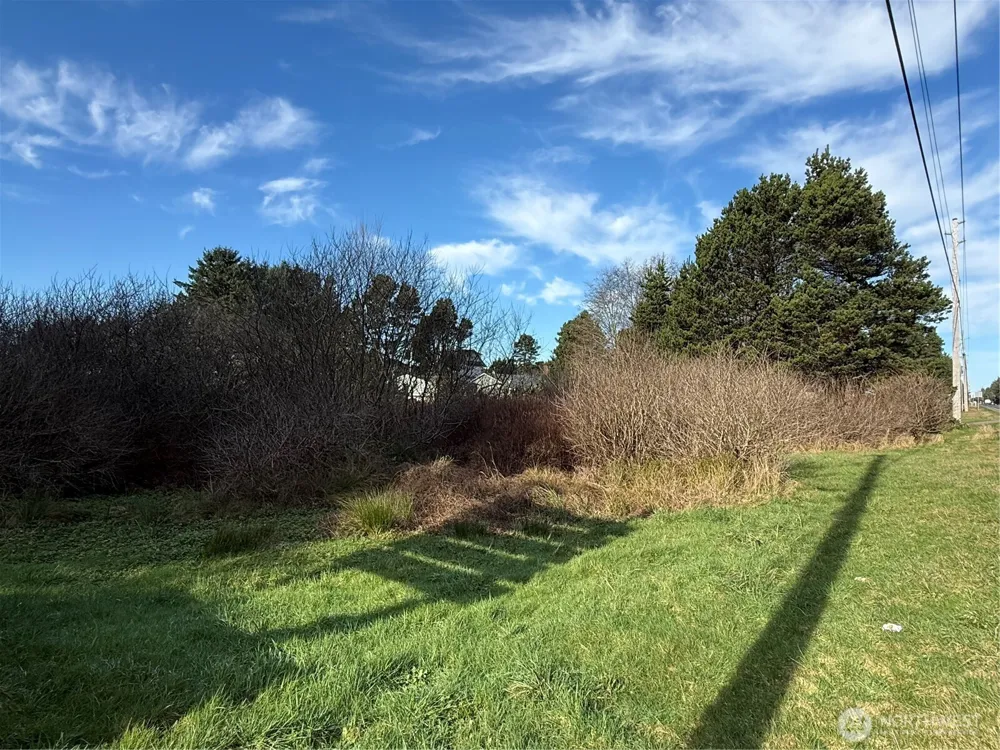 139 xx Pacific Way Long Beach, WA 98631
