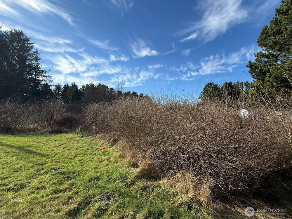 139 xx Pacific Way Long Beach, WA 98631