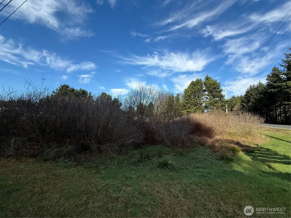 139 xx Pacific Way Long Beach, WA 98631