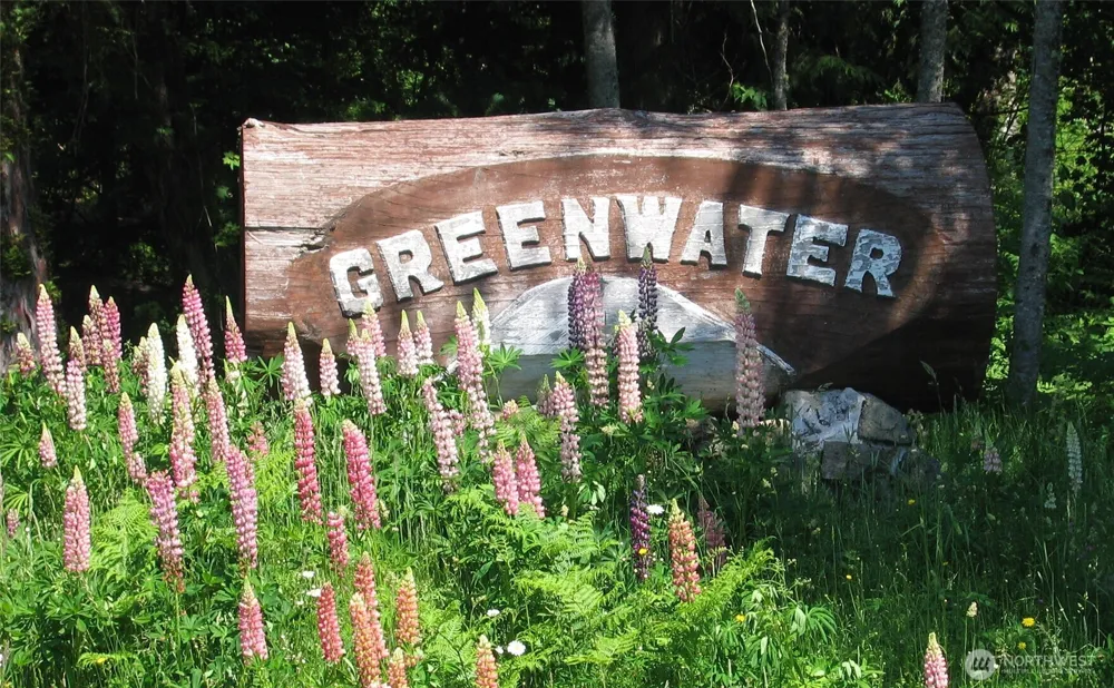 11934 Elk Trails Drive E Greenwater, WA 98022