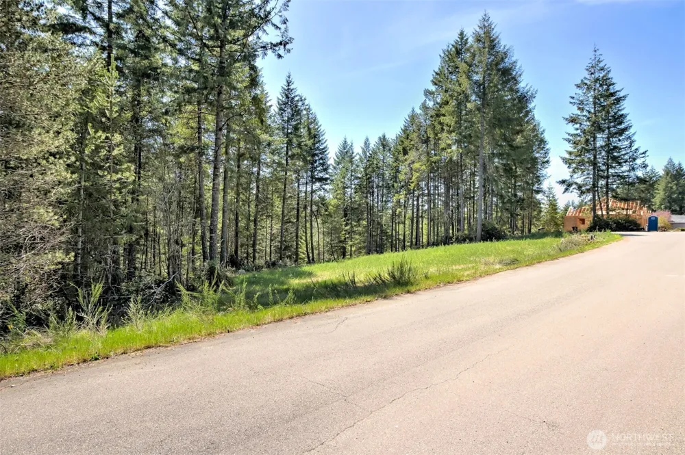 161 E Lexington Place Shelton, WA 98584