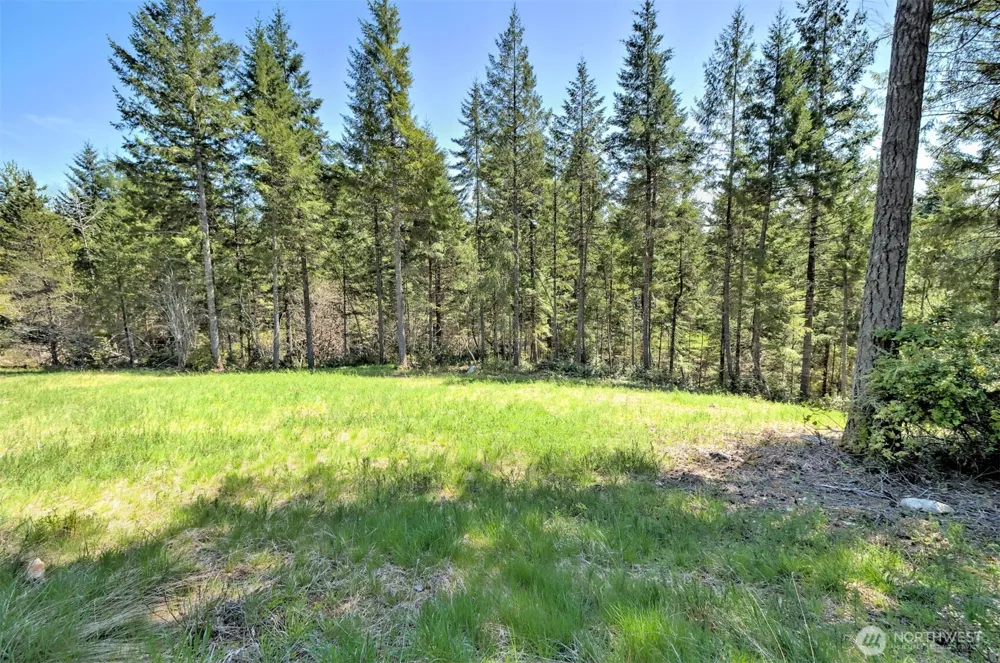 161 E Lexington Place Shelton, WA 98584