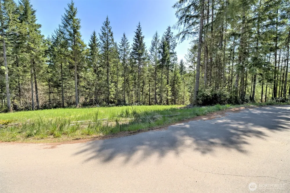 161 E Lexington Place Shelton, WA 98584