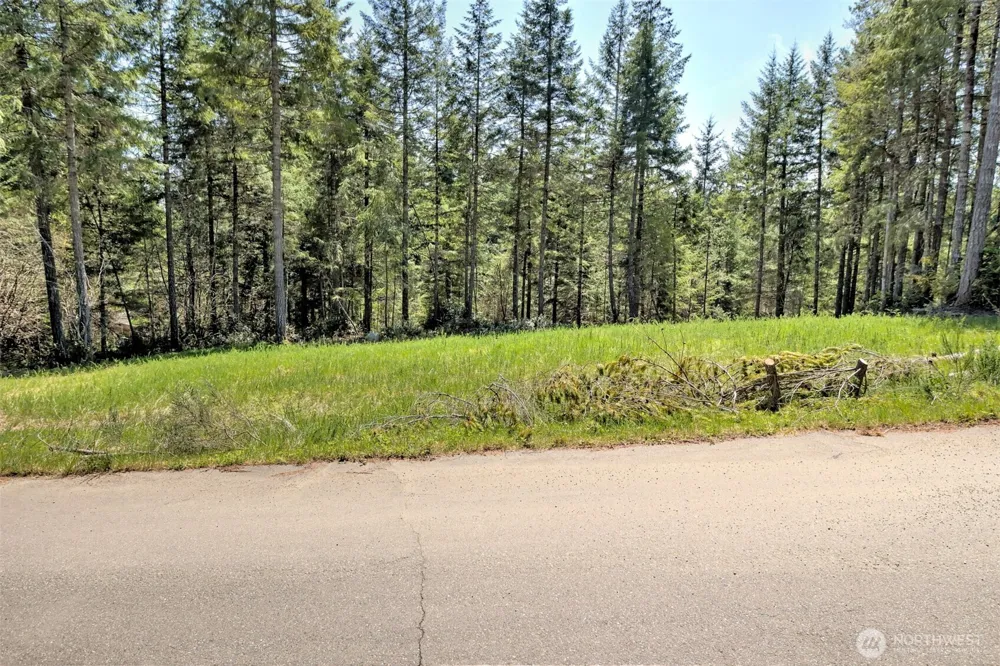 161 E Lexington Place Shelton, WA 98584