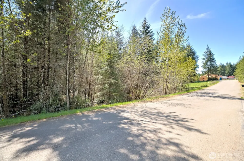 161 E Lexington Place Shelton, WA 98584