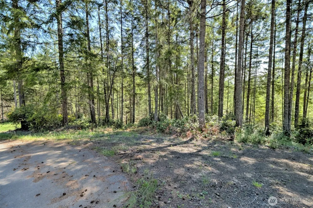 161 E Lexington Place Shelton, WA 98584
