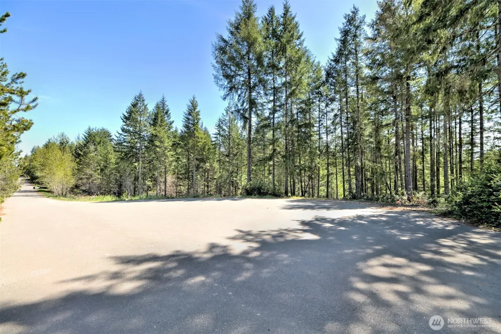 161 E Lexington Place Shelton, WA 98584