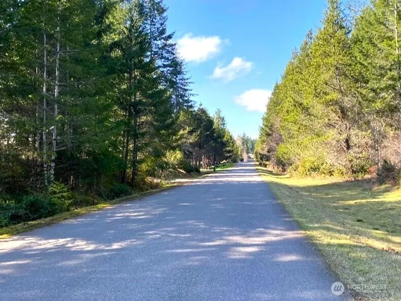161 E Lexington Place Shelton, WA 98584