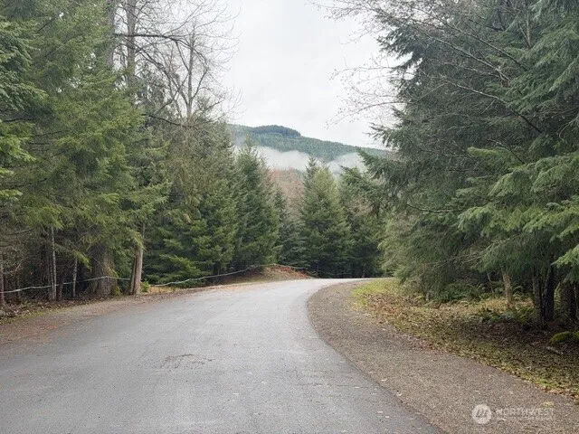 11857 Elk Trails Drive E Greenwater, WA 98022