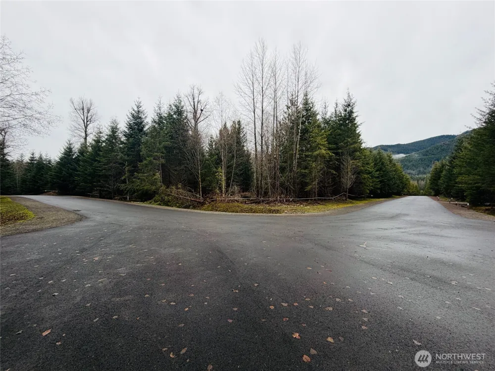 11857 Elk Trails Drive E Greenwater, WA 98022