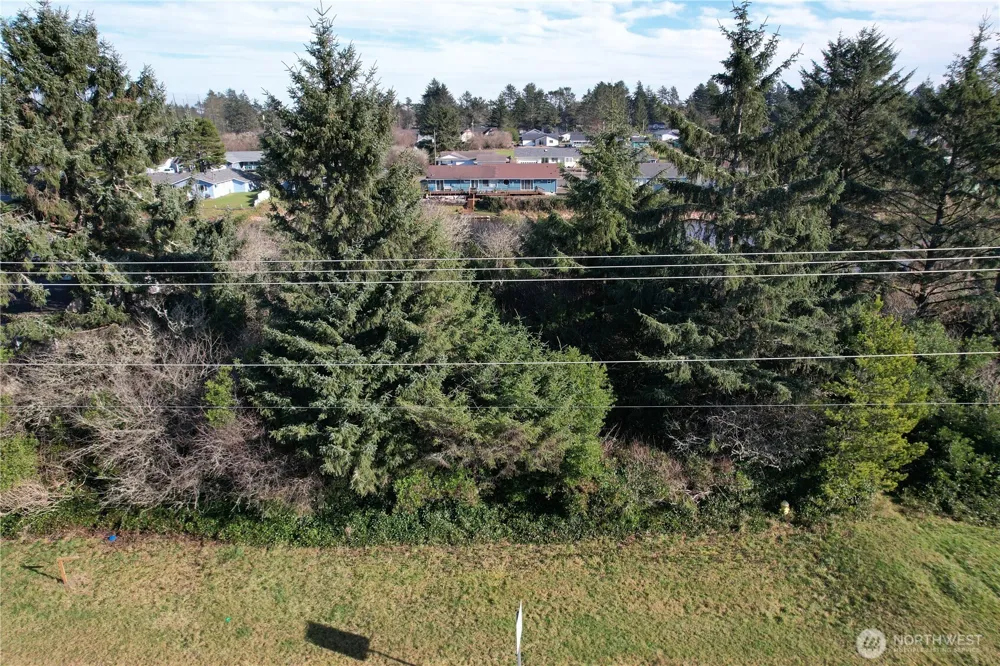 466 Point Brown Avenue NE Ocean Shores, WA 98569