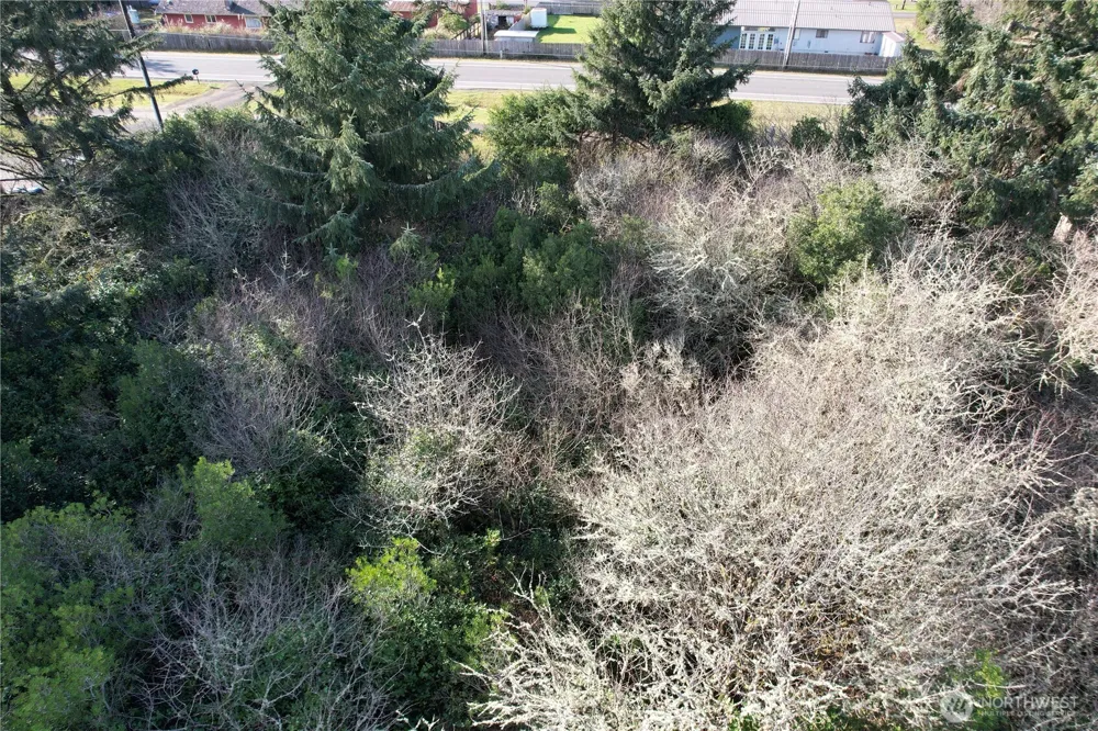 466 Point Brown Avenue NE Ocean Shores, WA 98569