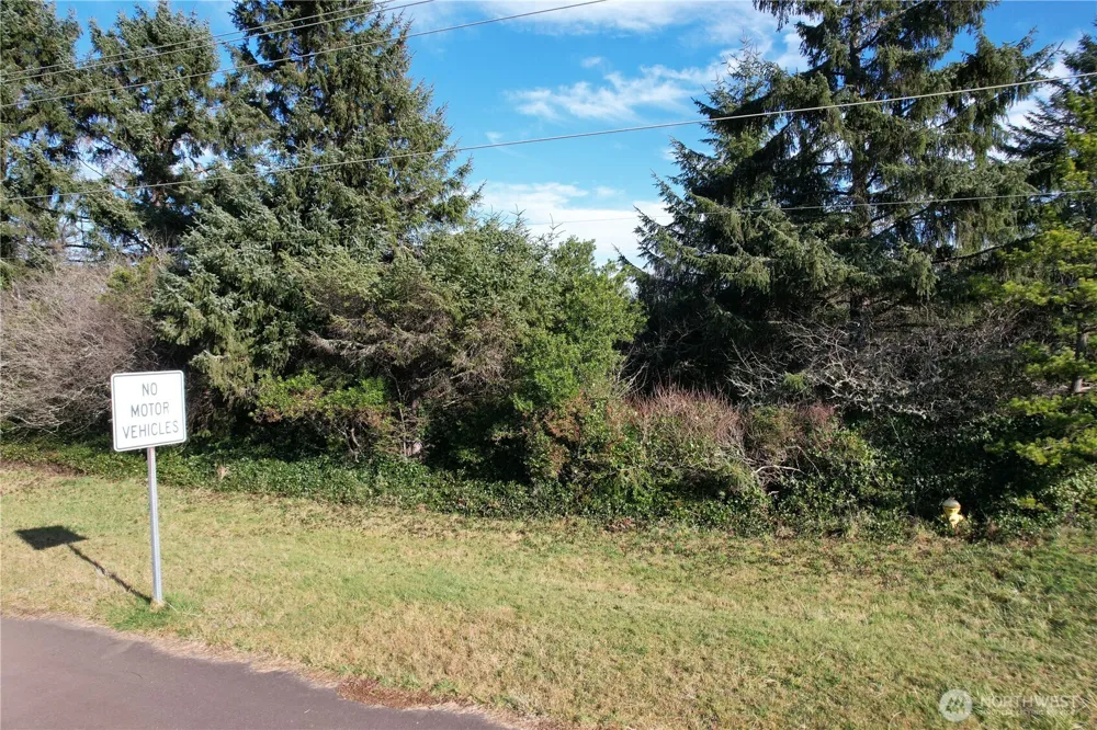 466 Point Brown Avenue NE Ocean Shores, WA 98569