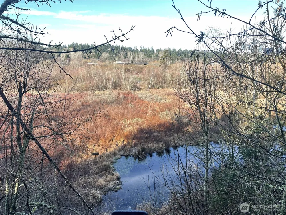 1628 118th Avenue SE #F316 Bellevue, WA 98005