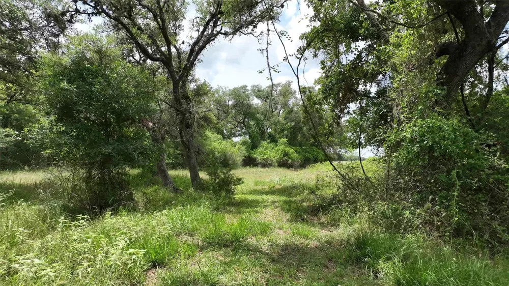 2003 Oakridge Road Weimar, TX 78962