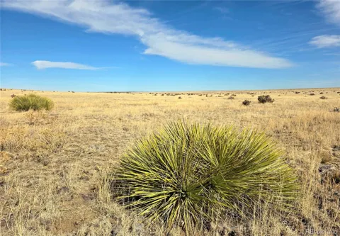 TBD County Road 103