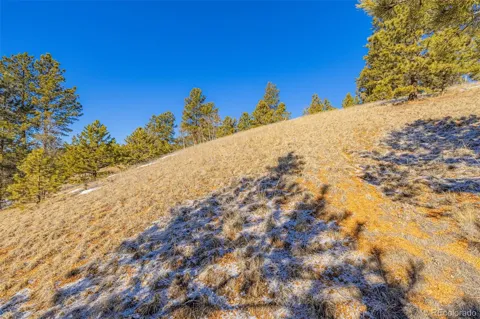 772 E Bison Creek Trail