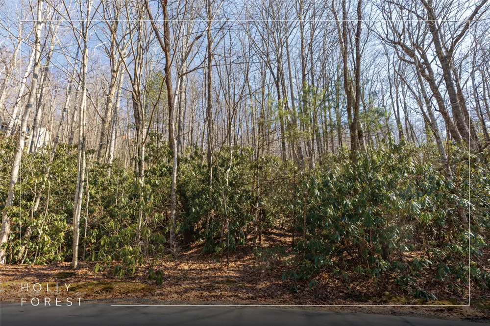 Lot 72 Black Oak Drive Sapphire, NC 28774