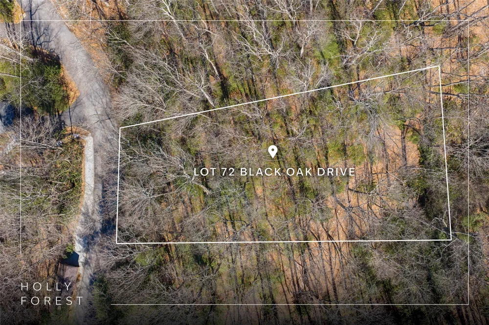 Lot 72 Black Oak Drive Sapphire, NC 28774