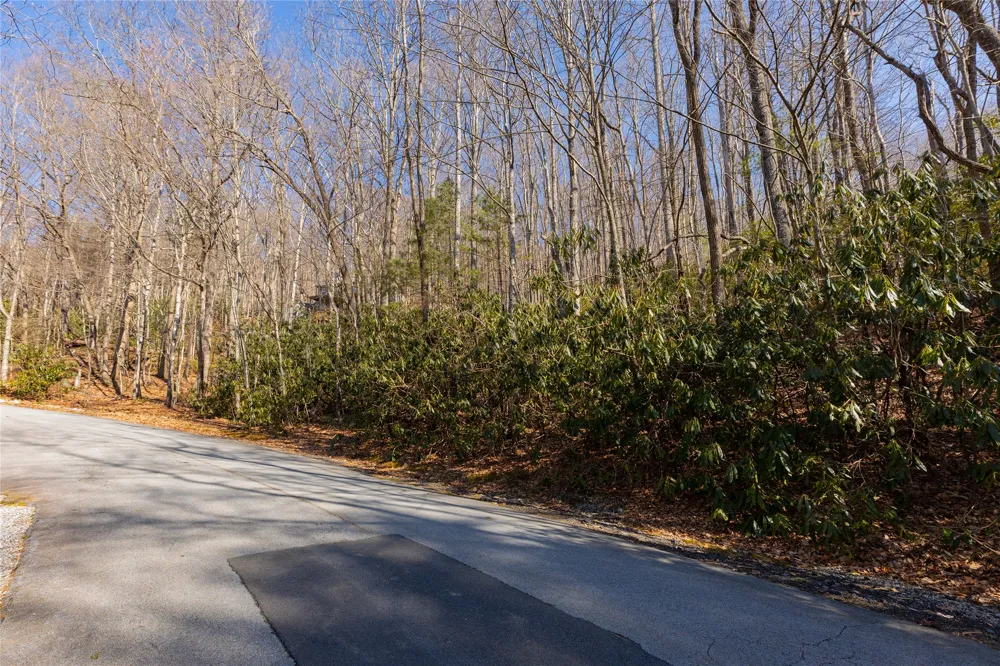 Lot 72 Black Oak Drive Sapphire, NC 28774