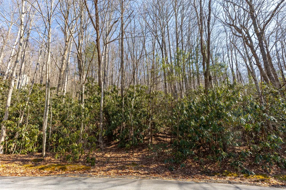 Lot 72 Black Oak Drive Sapphire, NC 28774