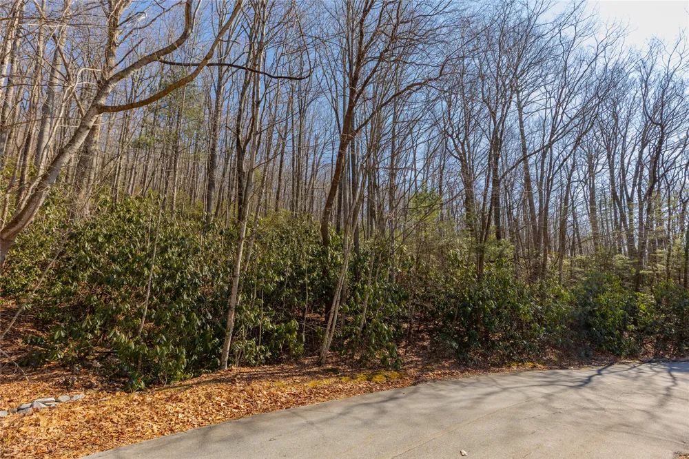 Lot 72 Black Oak Drive Sapphire, NC 28774