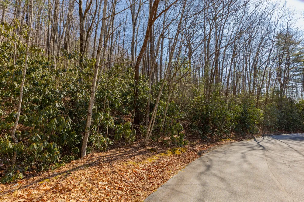 Lot 72 Black Oak Drive Sapphire, NC 28774