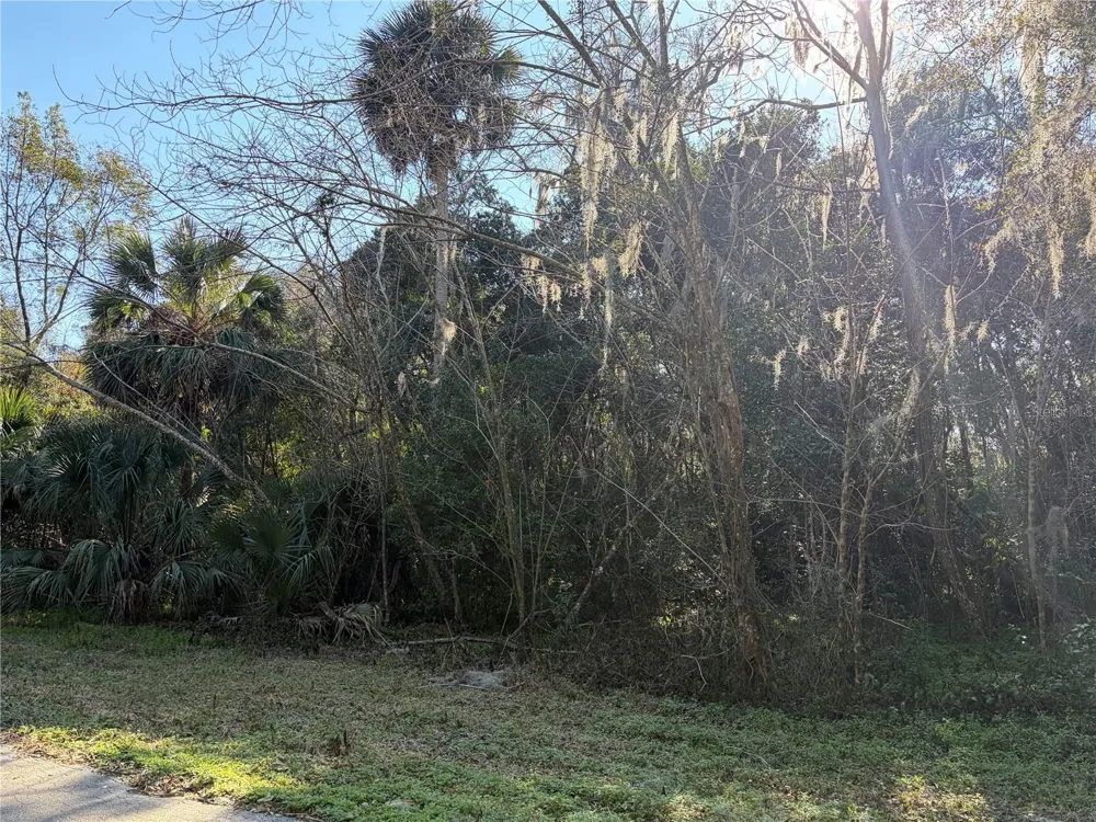 Lot 15 QUEBEC AVENUE De Leon Springs, FL 32130