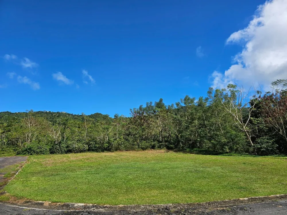 BO. CELADA SECTOR LOS CHINO Gurabo, PR 00778