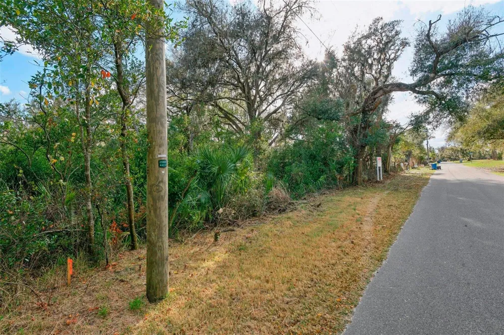 11119 BESSIE DIX ROAD Seffner, FL 33584