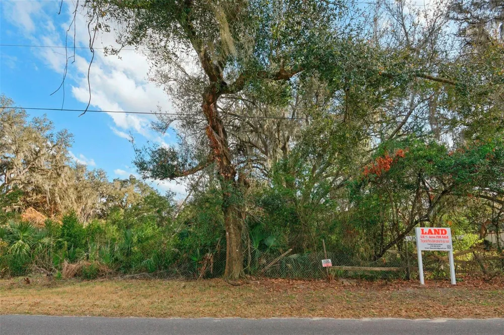11119 BESSIE DIX ROAD Seffner, FL 33584