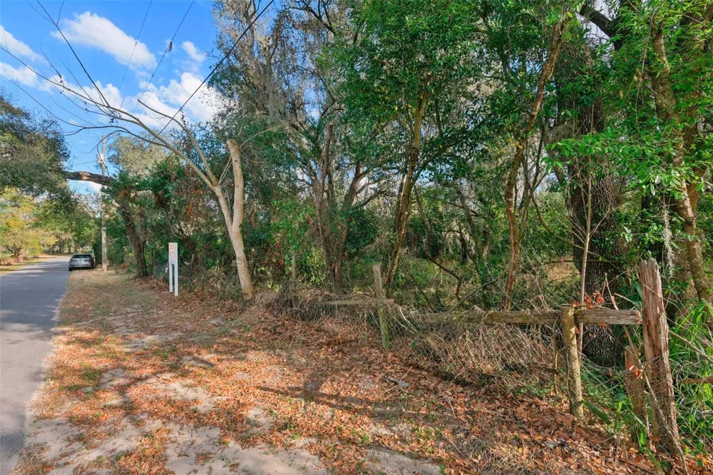 11119 BESSIE DIX ROAD Seffner, FL 33584