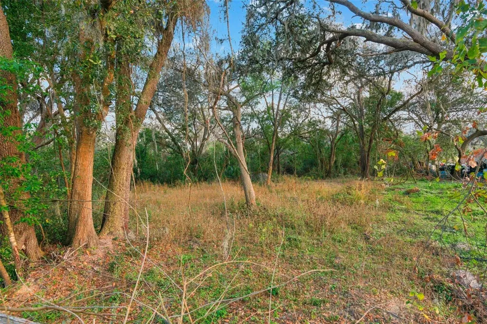 11119 BESSIE DIX ROAD Seffner, FL 33584