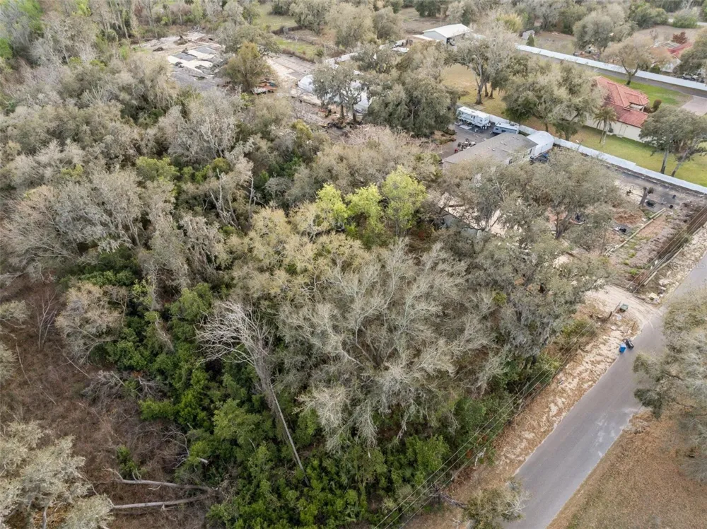 11119 BESSIE DIX ROAD Seffner, FL 33584