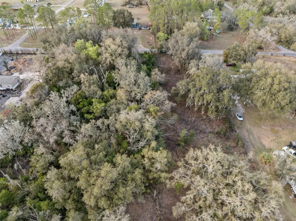 11119 BESSIE DIX ROAD Seffner, FL 33584