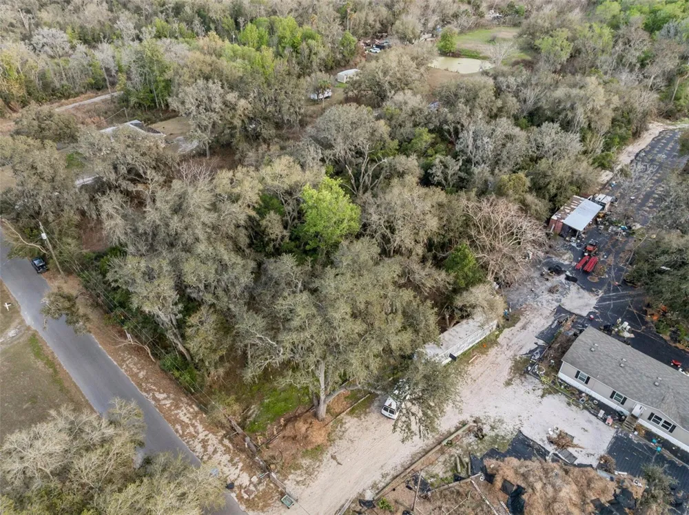 11119 BESSIE DIX ROAD Seffner, FL 33584