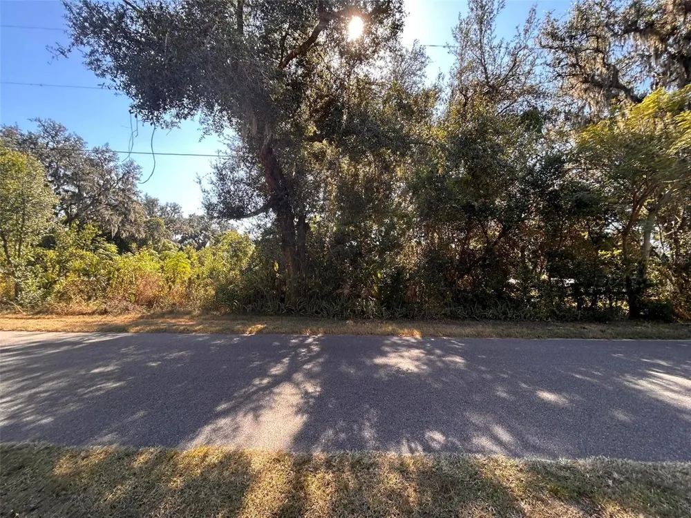 11119 BESSIE DIX ROAD Seffner, FL 33584