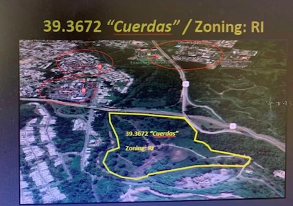 CARR 198 BA. TEJAS Humacao, PR 00791