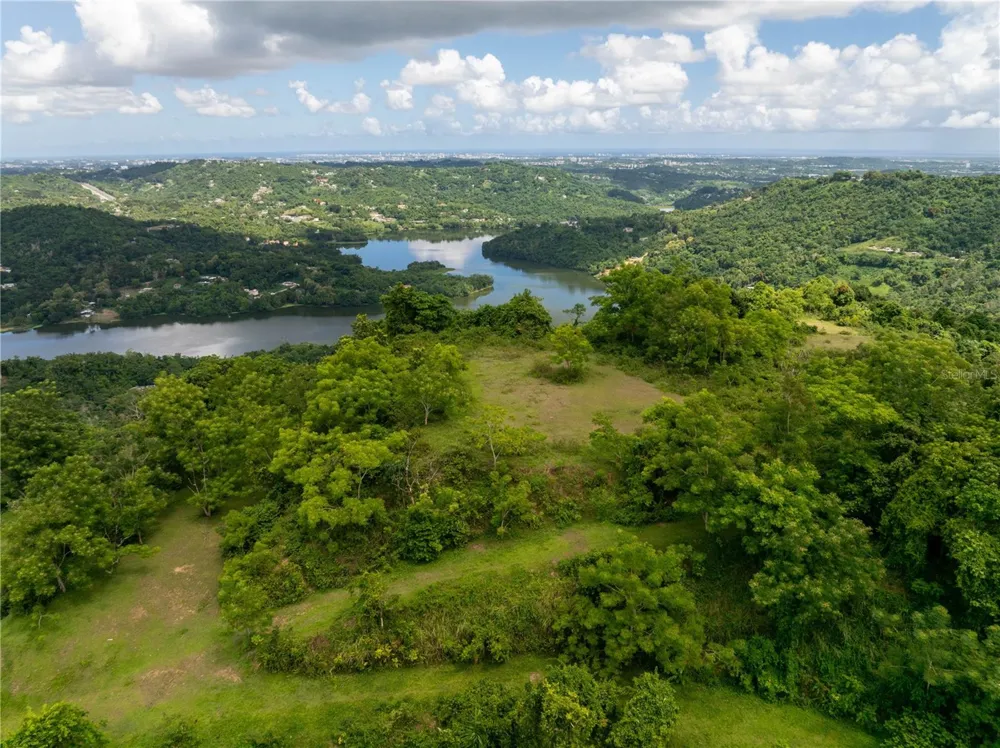 arr 942 JAGUAS Gurabo, PR 00778
