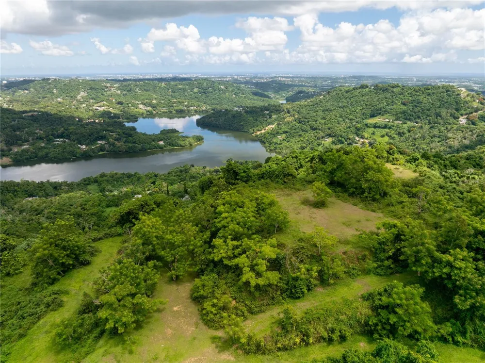 arr 942 JAGUAS Gurabo, PR 00778
