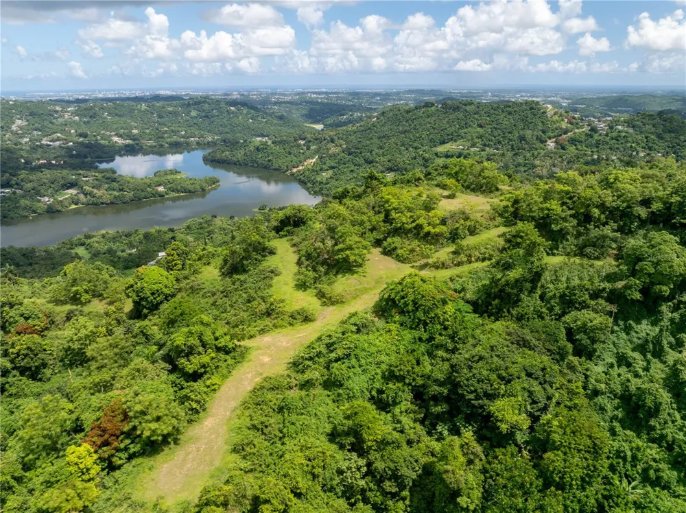 arr 942 JAGUAS Gurabo, PR 00778