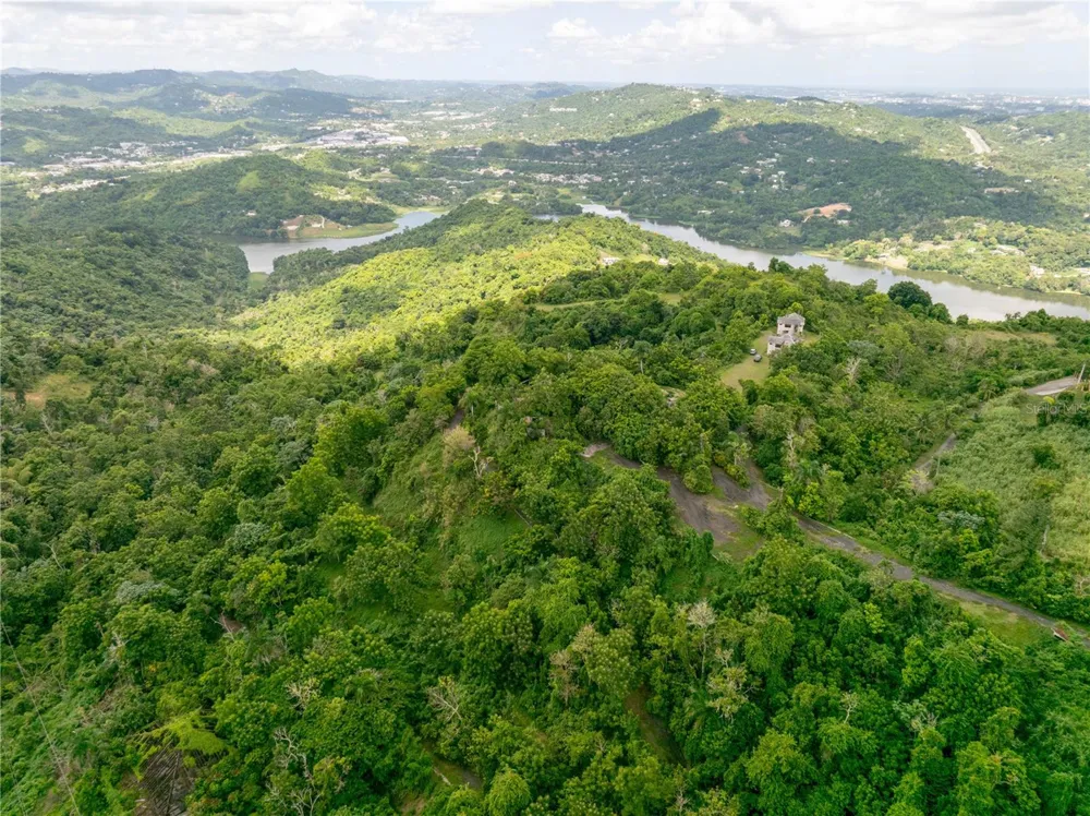 arr 942 JAGUAS Gurabo, PR 00778