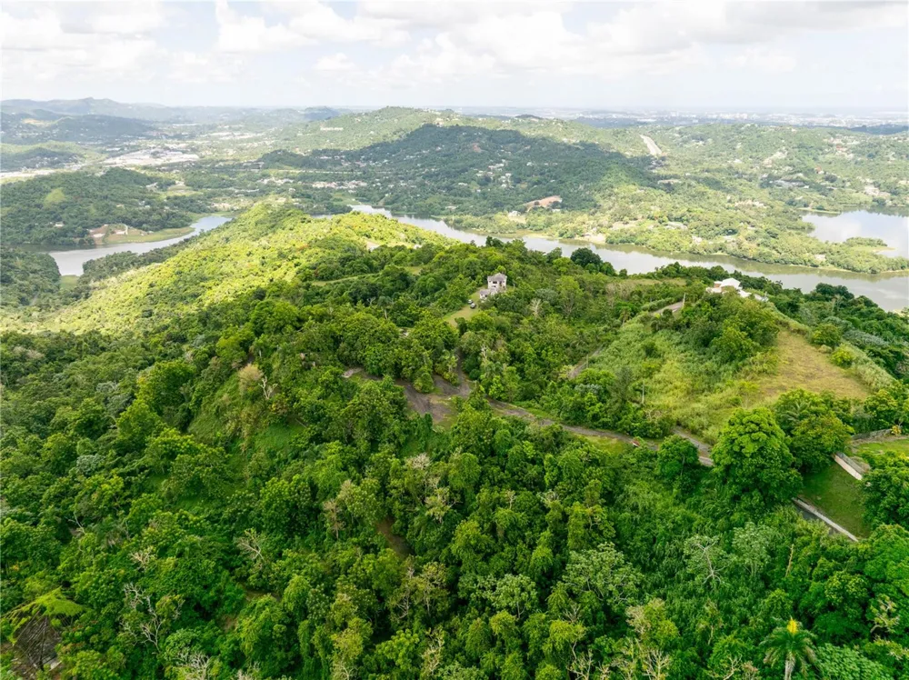 arr 942 JAGUAS Gurabo, PR 00778